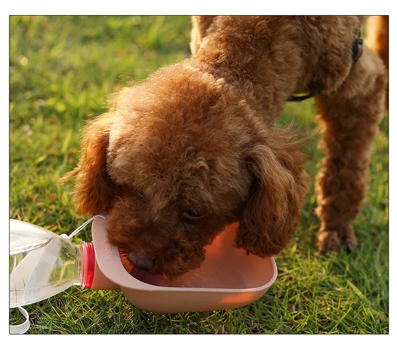 Drinking Water Feeder for Dogs and Cats