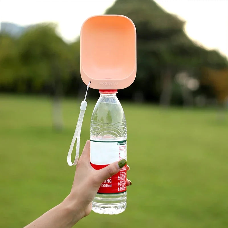 Drinking Water Feeder for Dogs and Cats