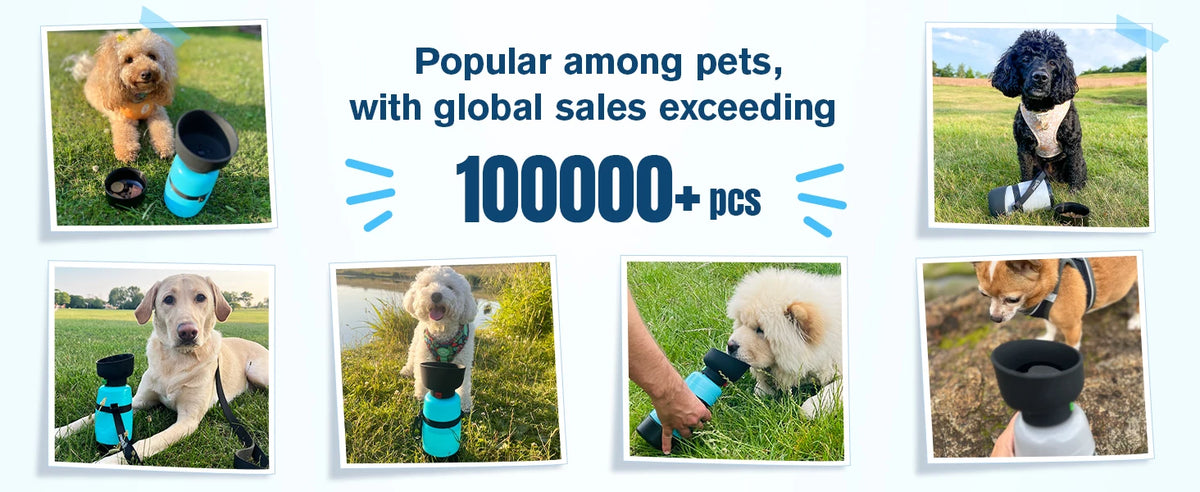 650ML Dog Water Bottle with 150ml Food Container, Dog Travel Water Bottle Dispenser, Pet Bowl for Outdoor Walking Hiking Camping