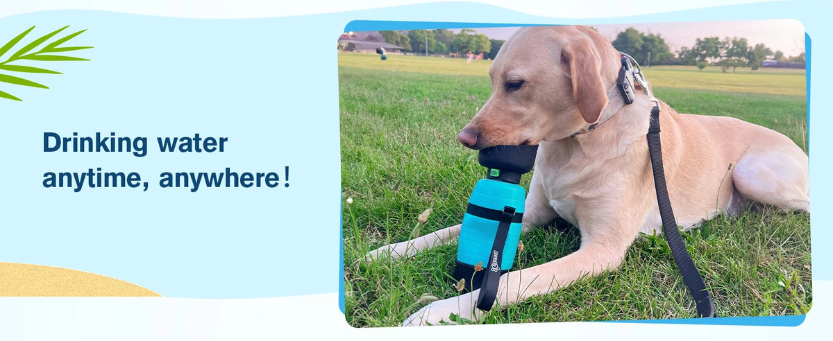 650ML Dog Water Bottle with 150ml Food Container, Dog Travel Water Bottle Dispenser, Pet Bowl for Outdoor Walking Hiking Camping