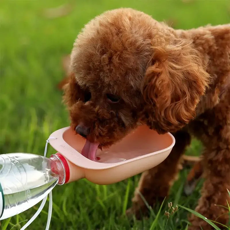 Drinking Water Feeder for Dogs and Cats